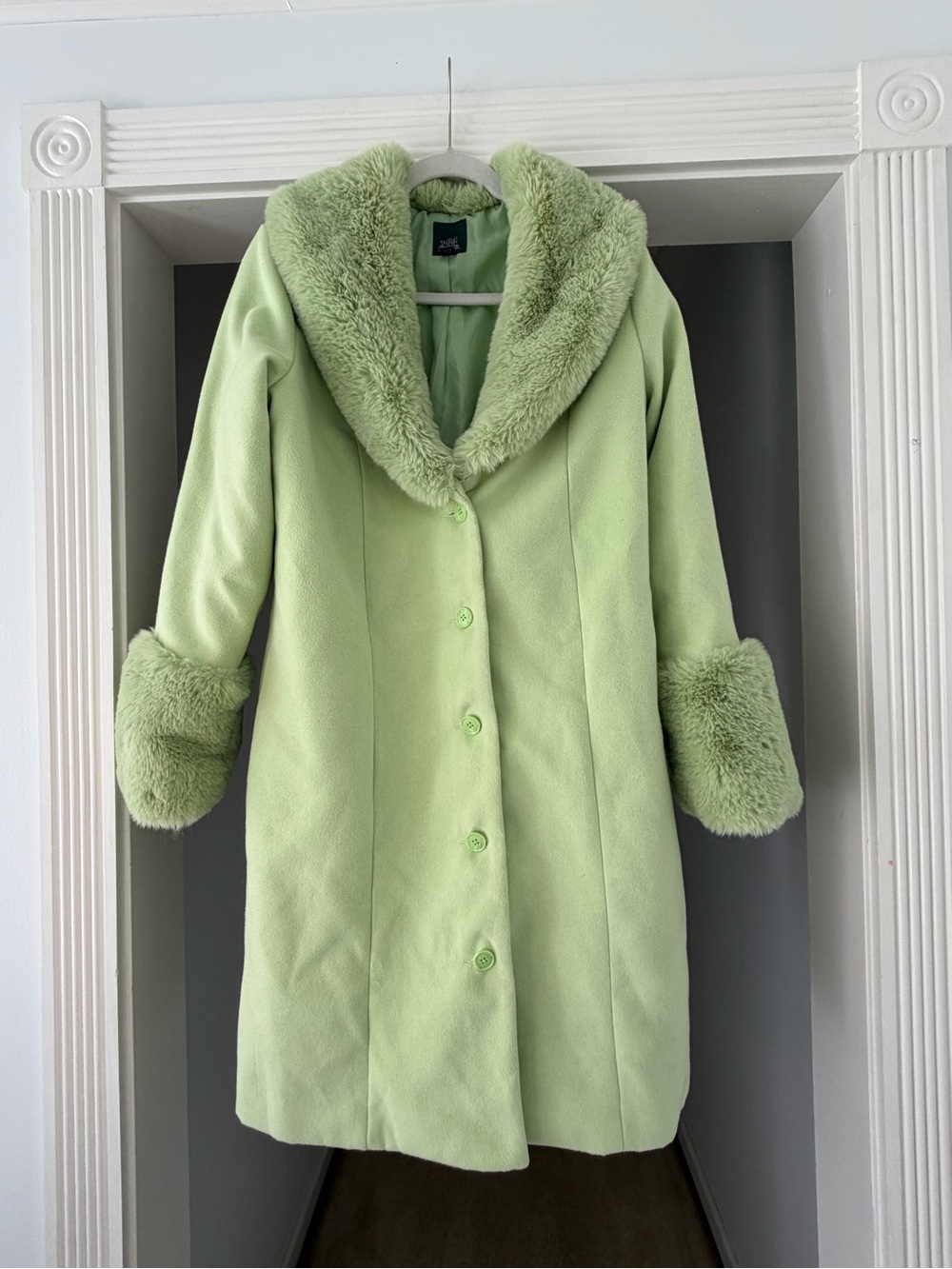 wild fable Pastel Green Faux Fur-Trim Pea Coat